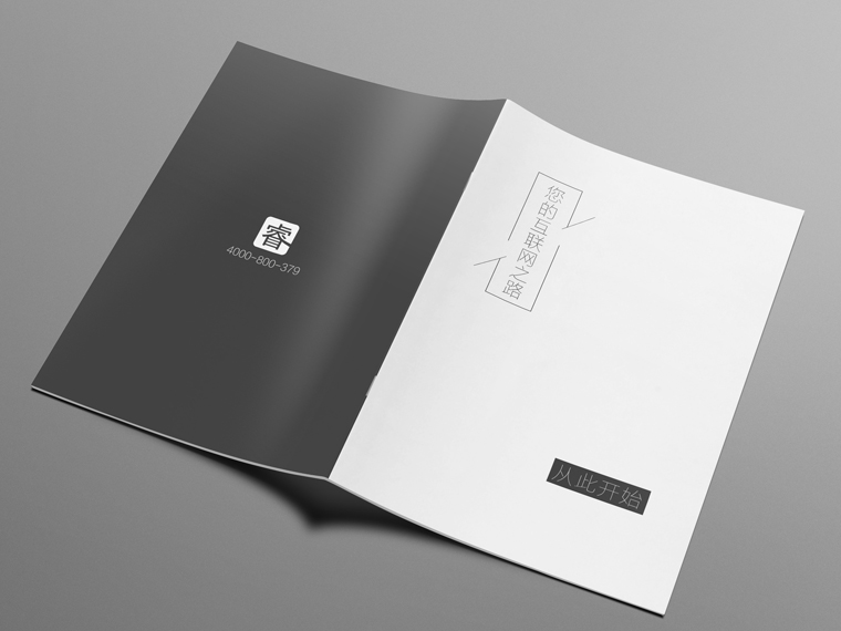 洛陽(yáng)靈睿網(wǎng)絡(luò)企業(yè)畫冊(cè)設(shè)計(jì)