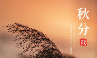 廣告界不能錯(cuò)過(guò)的節(jié)日&mdash;&mdash;秋分海報(bào)設(shè)計(jì)